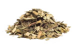 GINKGO LISTY - bylina, 1000g