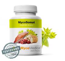 MycoMedica MycoSomat 90 tablet